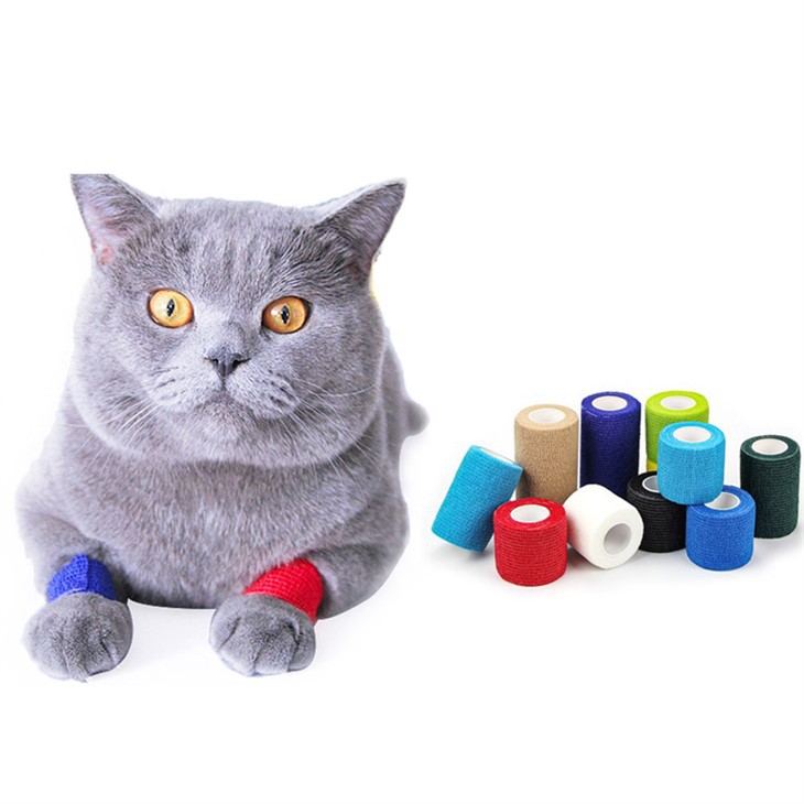 Bandagem Coesiva para Gatos