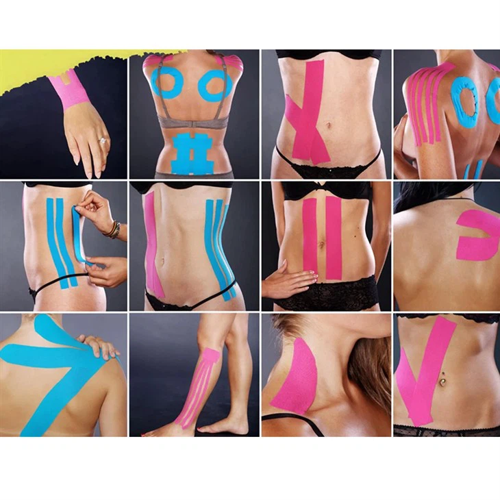 rotator cuff kinesiology